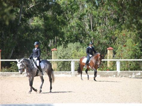 club equestre mohammedia|Les Clubs et centres équestres à Mohammédia.